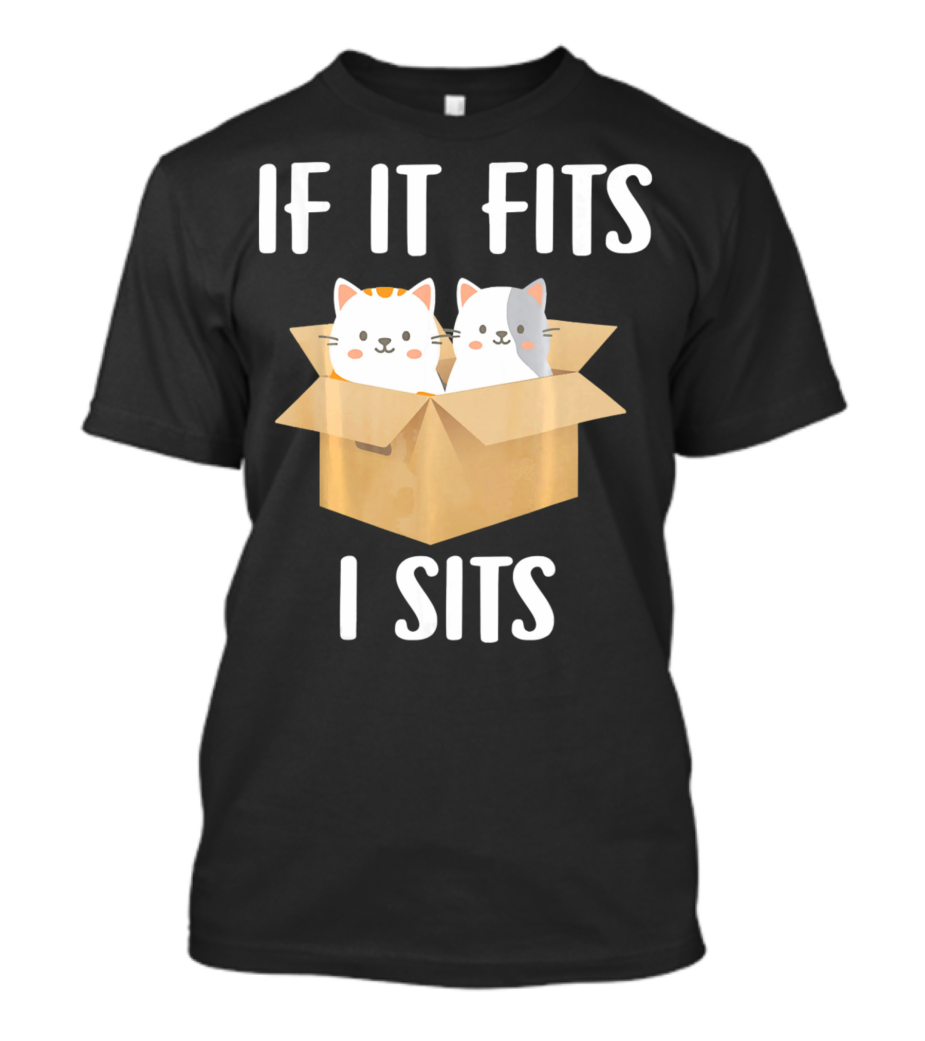 If It Fits I Sits Funny Kitten Cat In Box T-Shirt