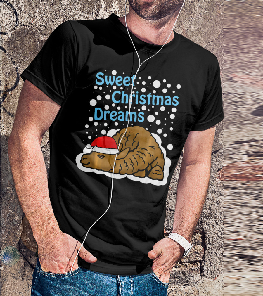 Sweet Christmas Dreams Llama Alpaca With Santa Hat T-Shirt