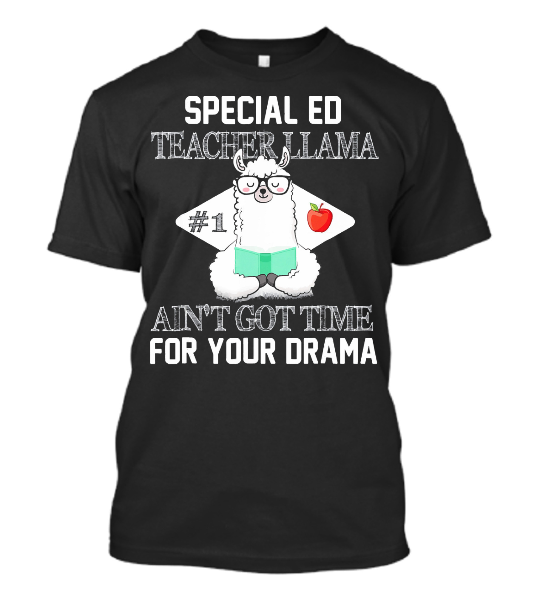 Special Ed Teacher Llama Ain't Got Time For Your Drama T-Shirt