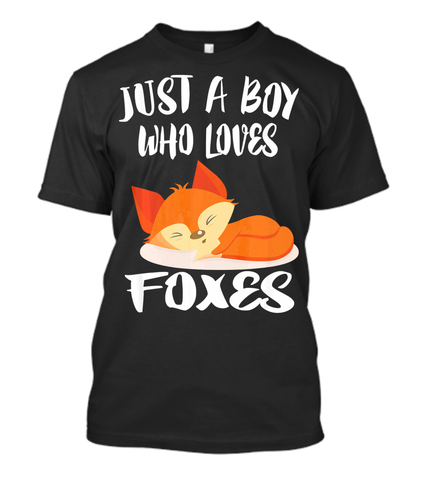 Just A Boy Who Loves Foxes Fox Sleeping Cute Widely Known Animal T-Shirt