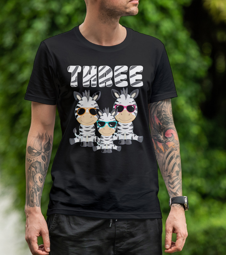 Three Cool Zebra 3rd Birthday Party 3 Year Old T-Shirt