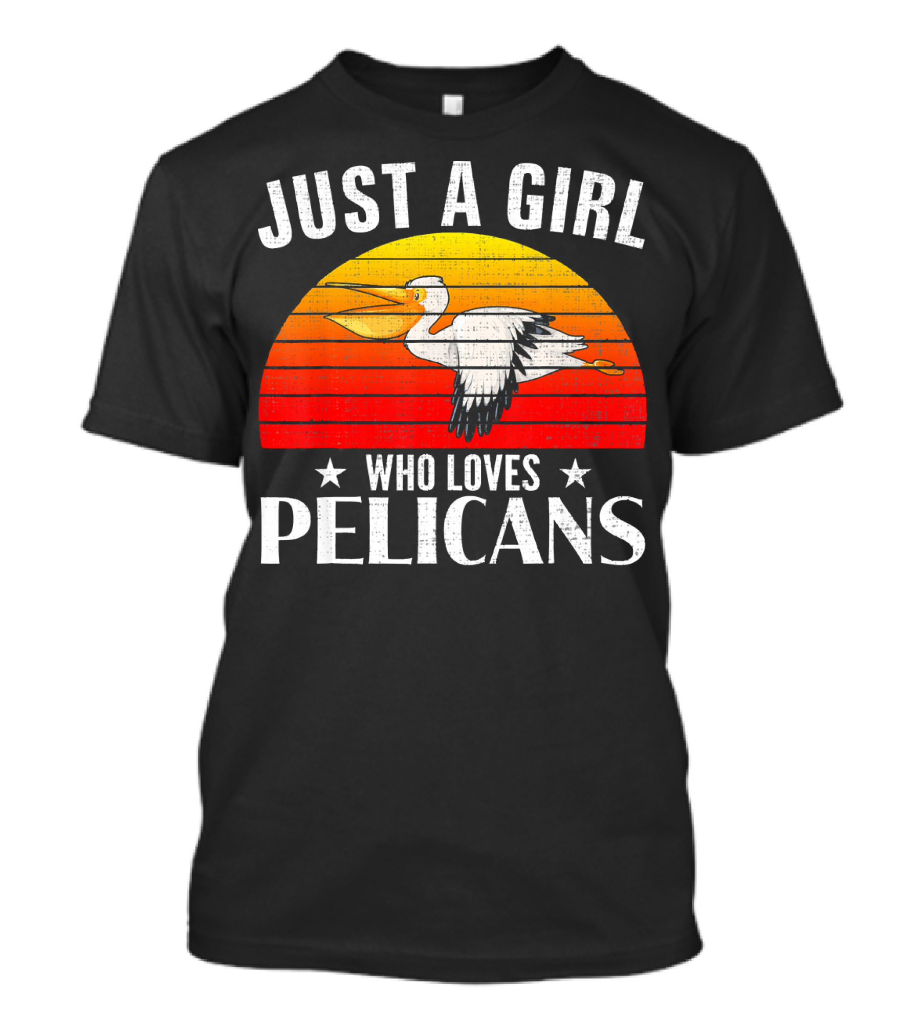Just A Girl Who Loves Pelicans Retro Sunset T-Shirt