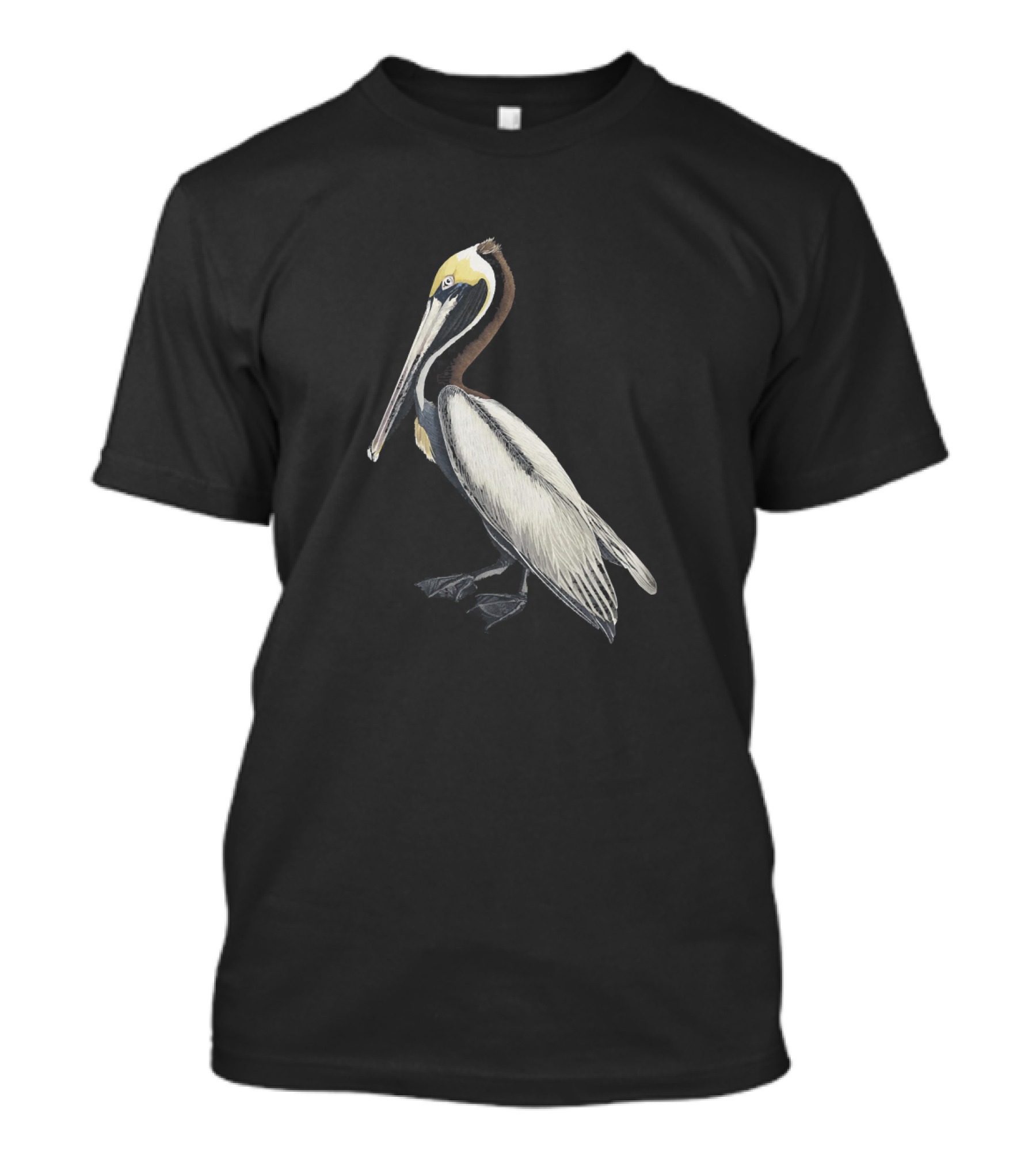 Pelican Vintage Bird Natural History T-Shirt