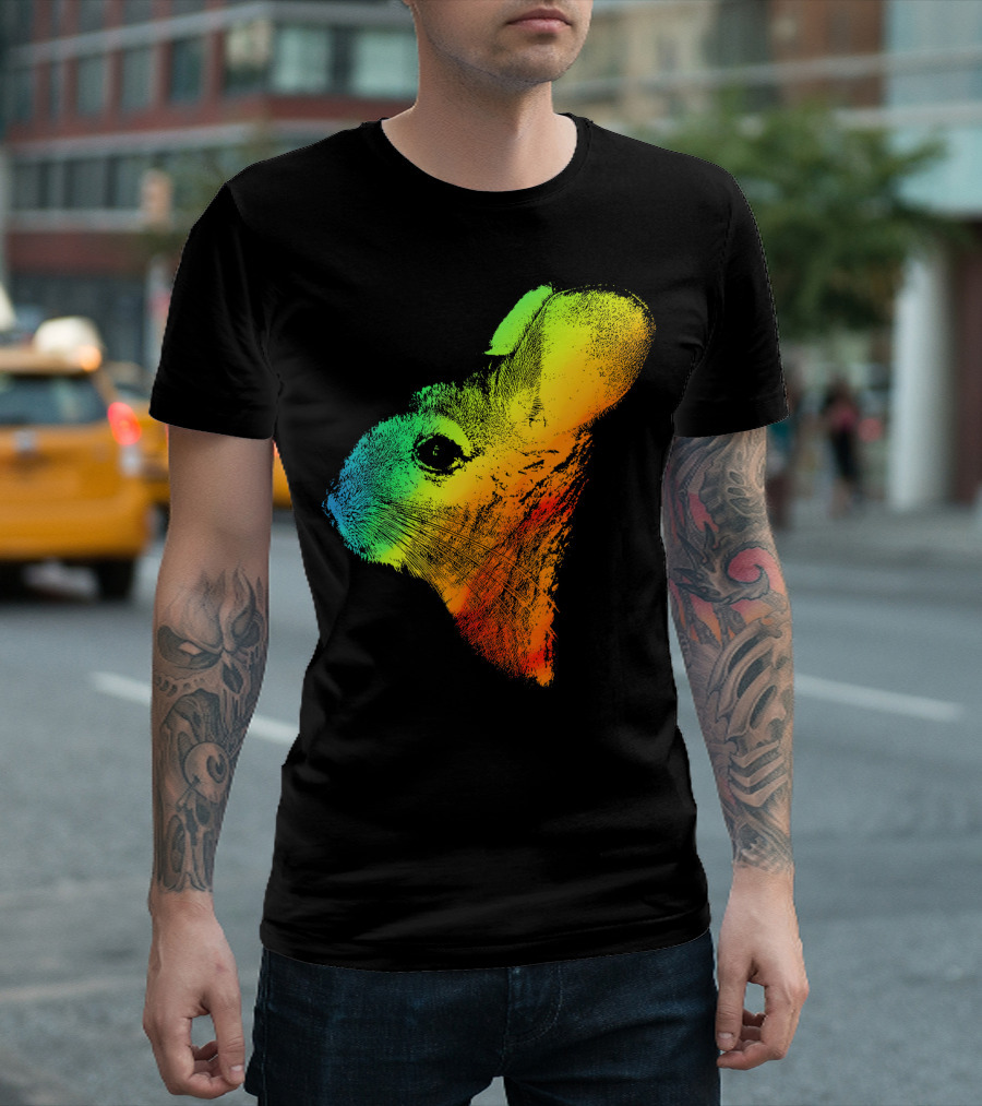 CHINCHILLA Rainbow Retro Colorful Long T-Shirt
