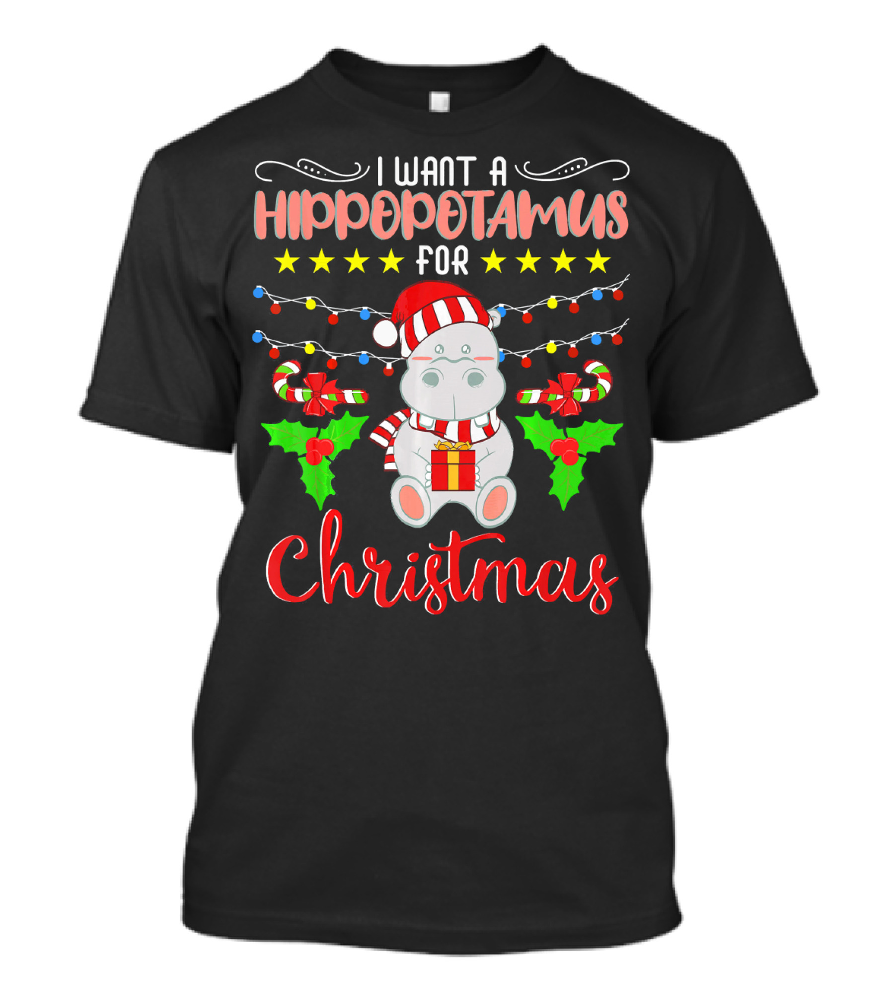 I Want A Hippopotamus For Christmas Santa Claus T-Shirt