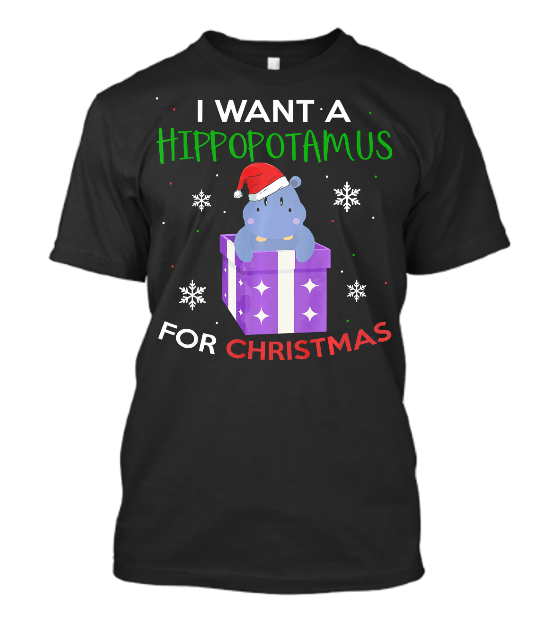 I Want A Hippopotamus For Christmas Funny Hippo In Present Box T-Shirt