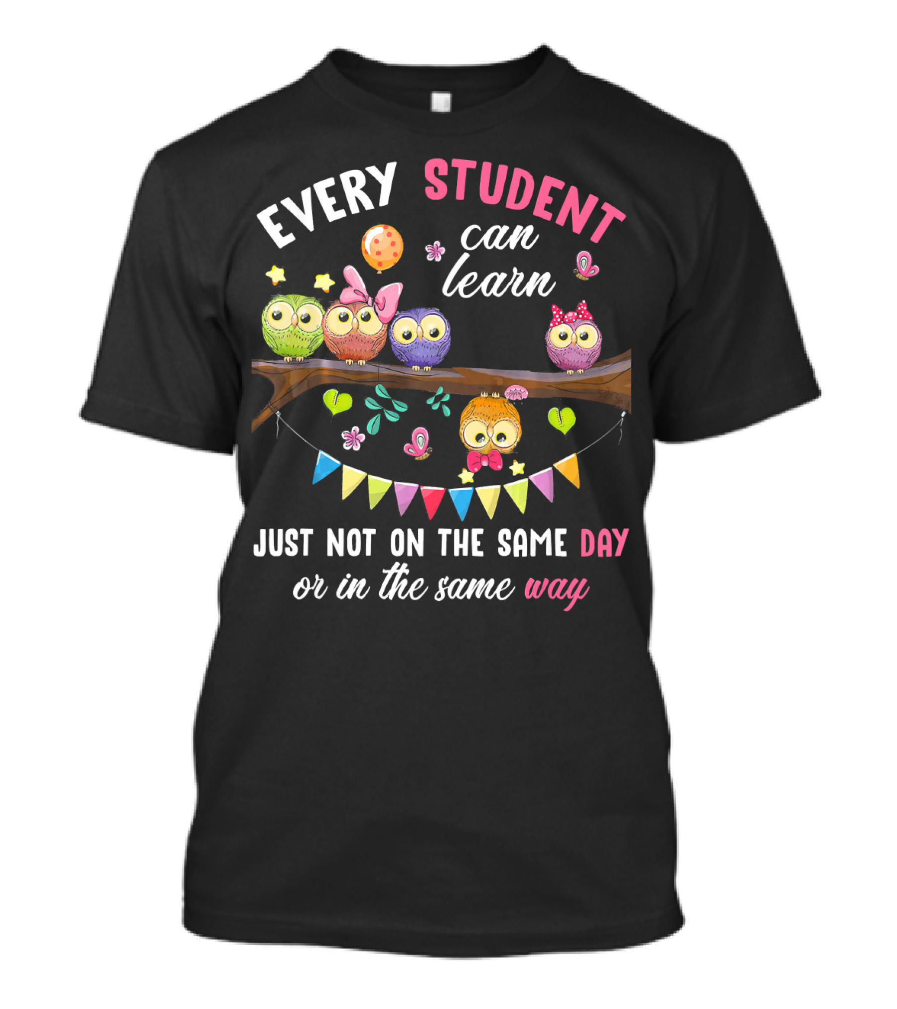 Every Student Can Learn Just Not On The Same Day Or In The Same Way Colorful Owls And Bunting T-Shirt