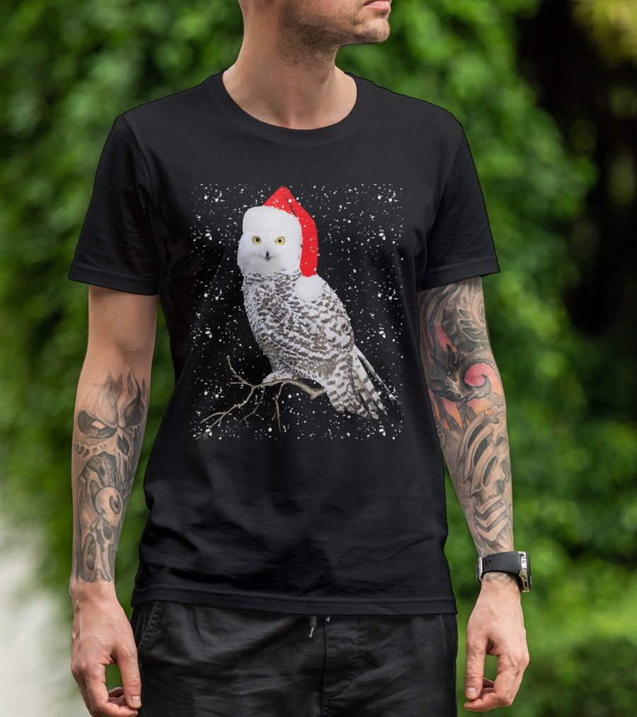 Snowy Owl Wearing Santa Hat In Winter Snowflakes T-Shirt