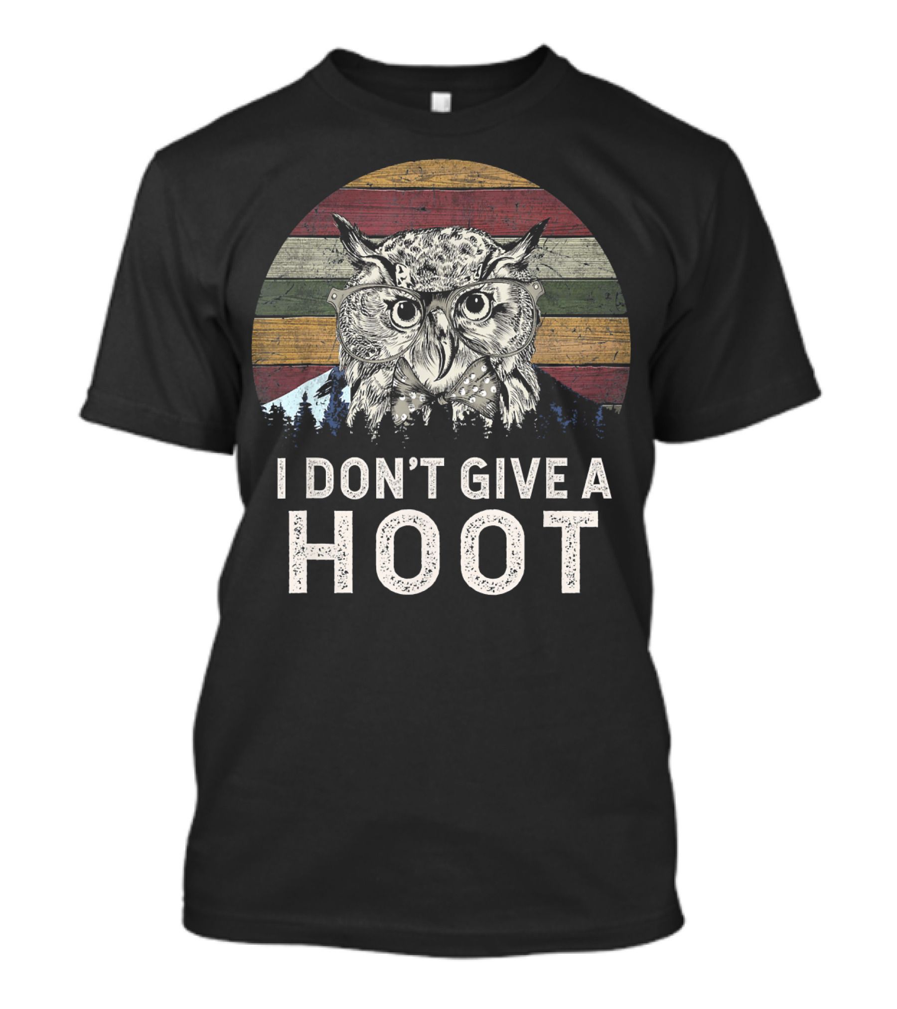 I Don't Give A Hoot Vintage Style Owl T-Shirt