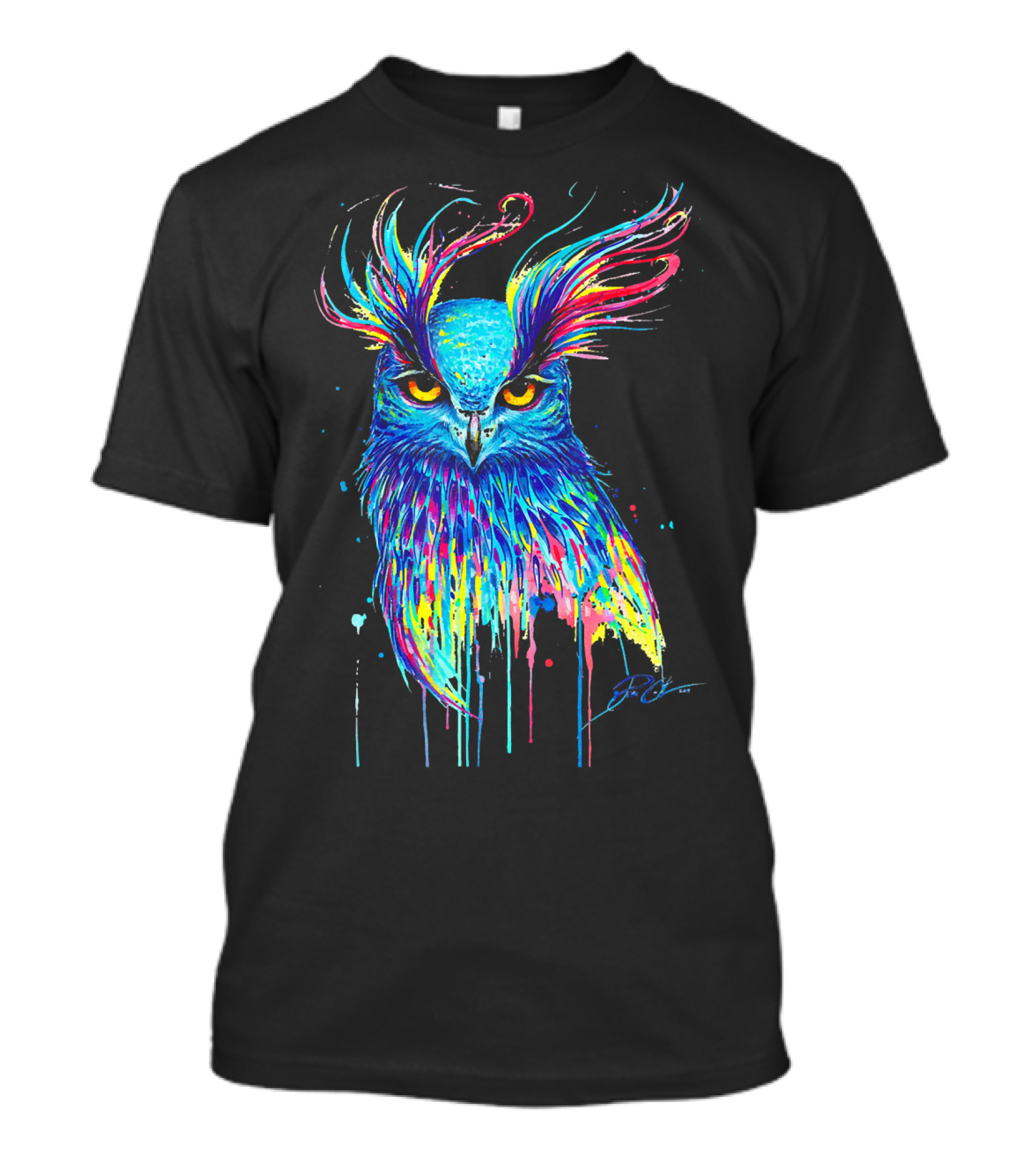 Owl Lover Rainbow Ornit Vibrant Colorful Owl T-Shirt