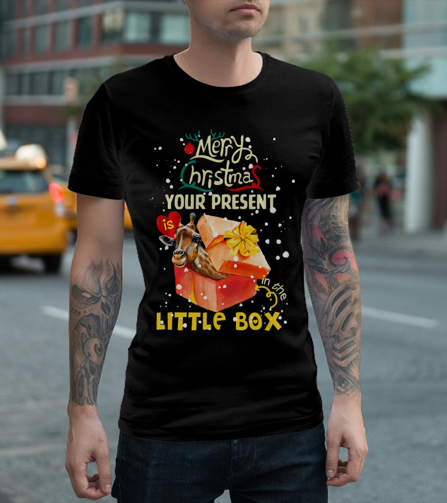 Merry Christmas Your Present Is in the Little Box T-Shirt