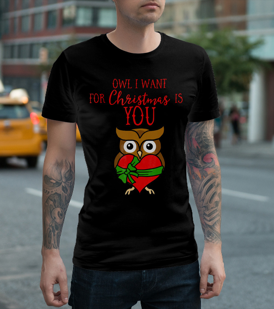 Owl I Want For Christmas Is You Owl Heart Present T-Shirt