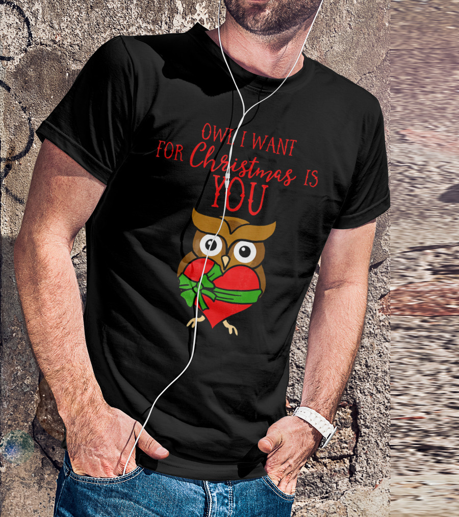 Owl I Want For Christmas Is You Owl Heart Present T-Shirt