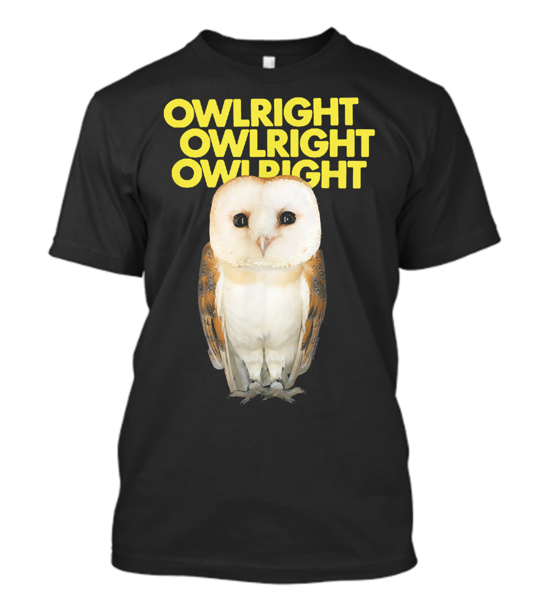 Ripple Junction Owlright Owlright Owlright Owl T-Shirt