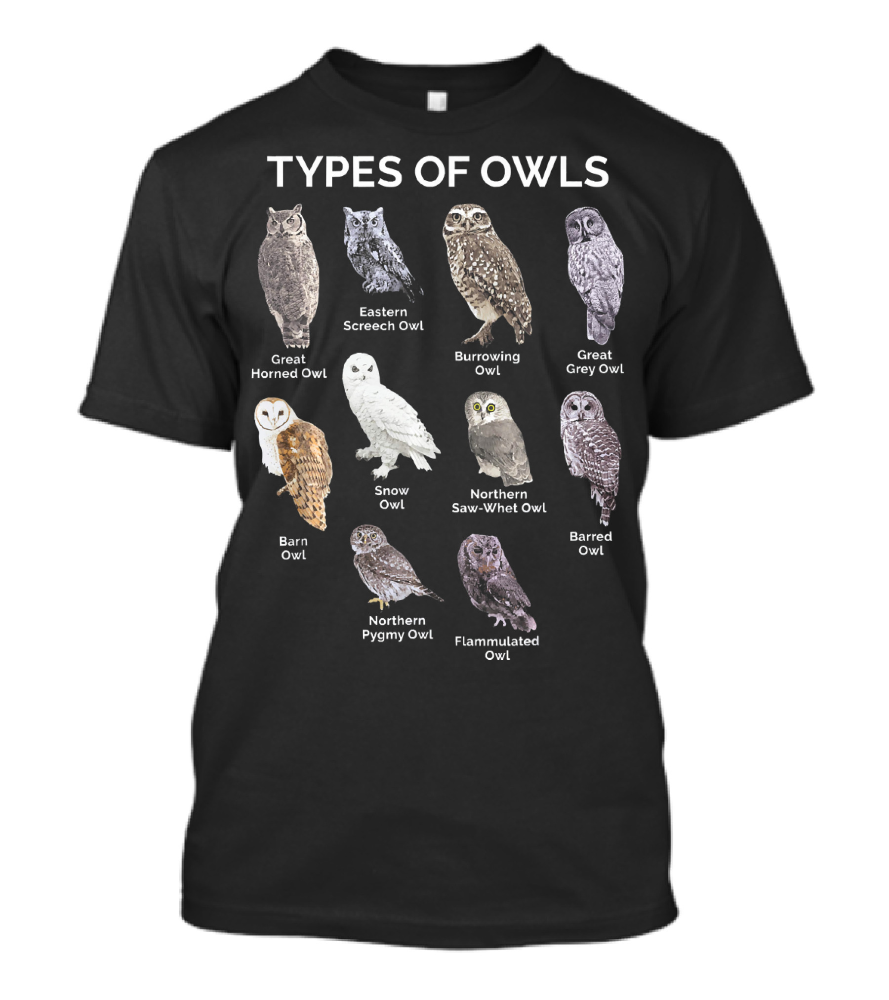 Types Of Owls Great Horned Eastern Screech Burrowing Great Grey Barn Snow Northern Saw-Whet Barred Northern Pygmy Flammulated Owl Lover Educational T-Shirt