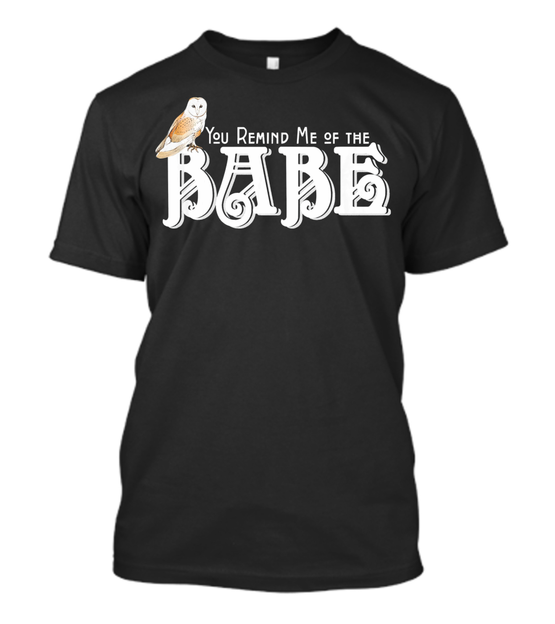 You Remind Me Of The Babe Barn Owl Retro Lettering T-Shirt