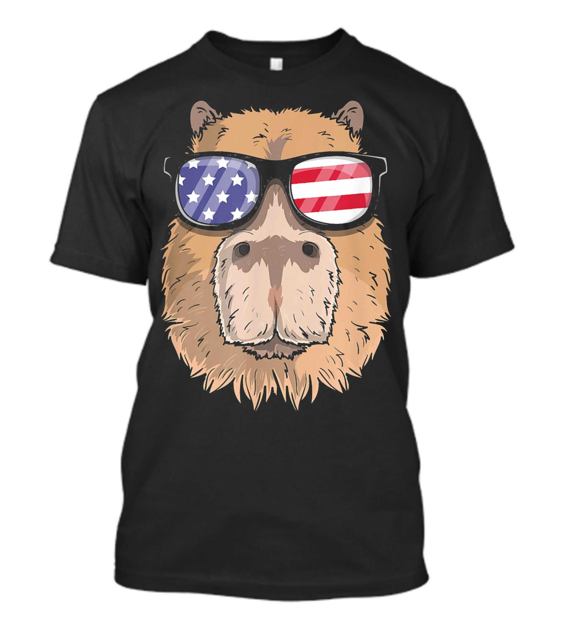 Capybara Patriotic USA 4th Of July Ameri Sunglasses T-Shirt