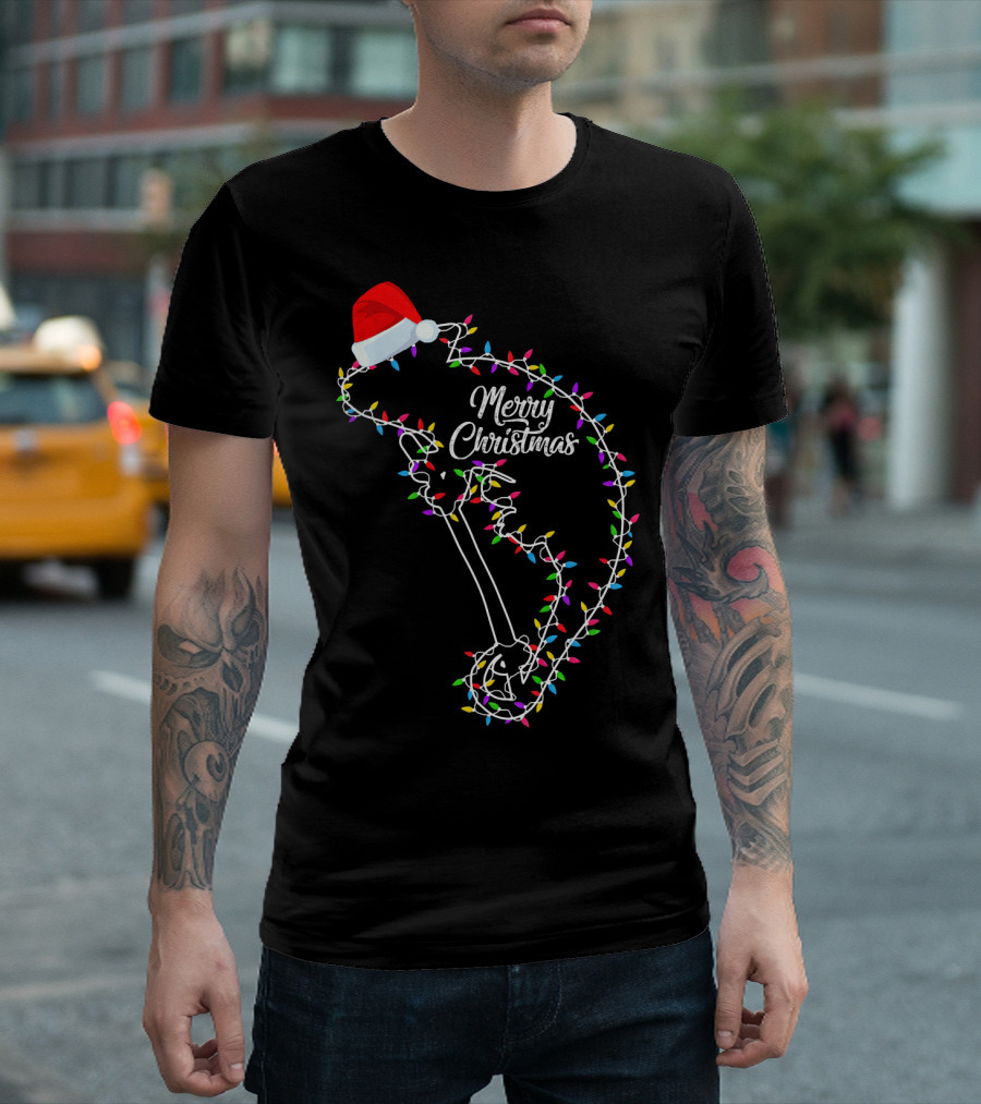 Merry Christmas Lights Chameleon Santa Hat T-Shirt