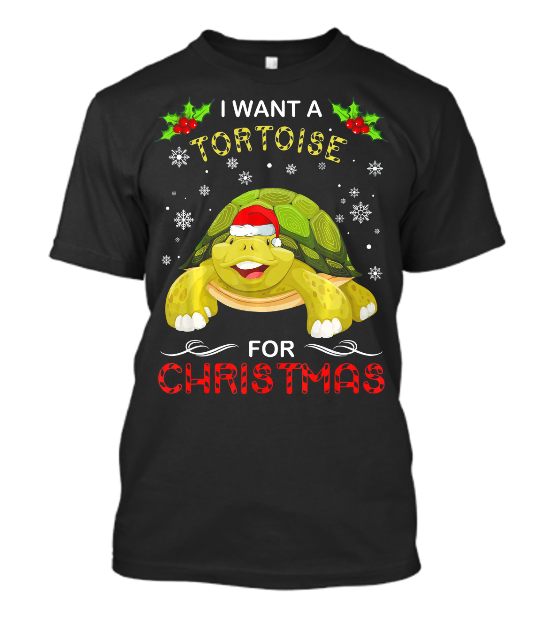 I Want A Tortoise For Christmas T-Shirt