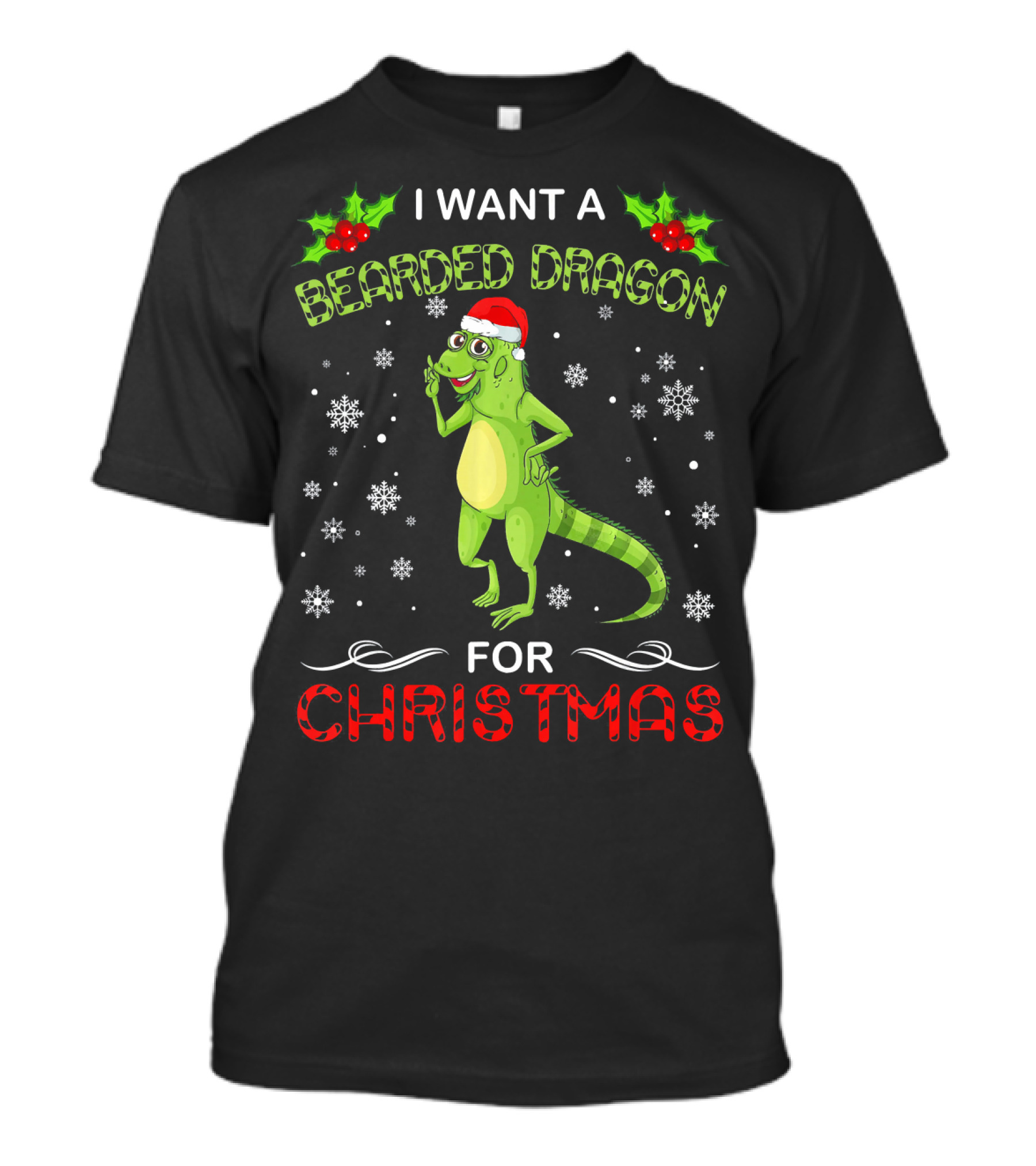 I Want A Bearded Dragon For Christmas Snowflakes And Santa Hat T-Shirt