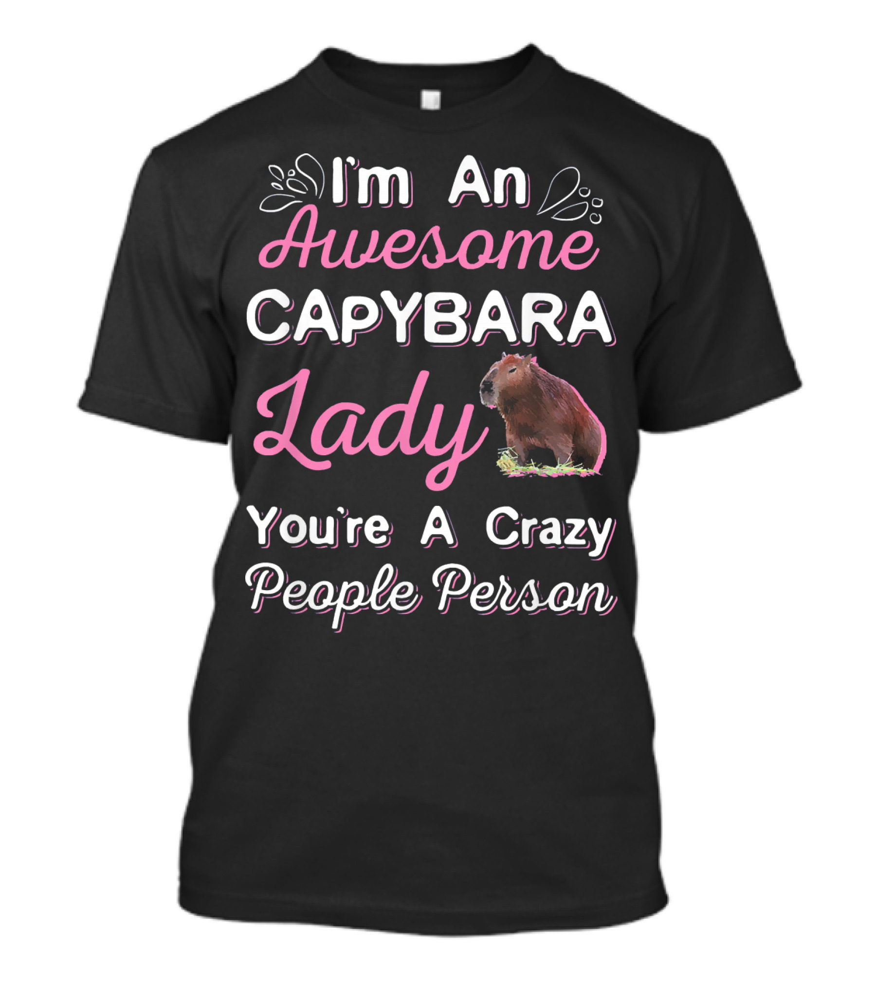 I'm An Awesome Capybara Lady You're A Crazy People Person T-Shirt