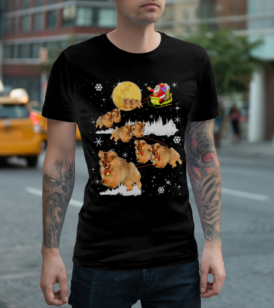 Santa Claus Sleigh with Pomeranian Reindeer and Moon Snow Scene T-Shirt