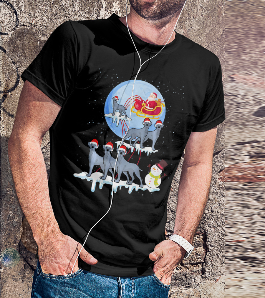 Funny Great Dane Santa Sleigh Christmas Moon Scene T-Shirt