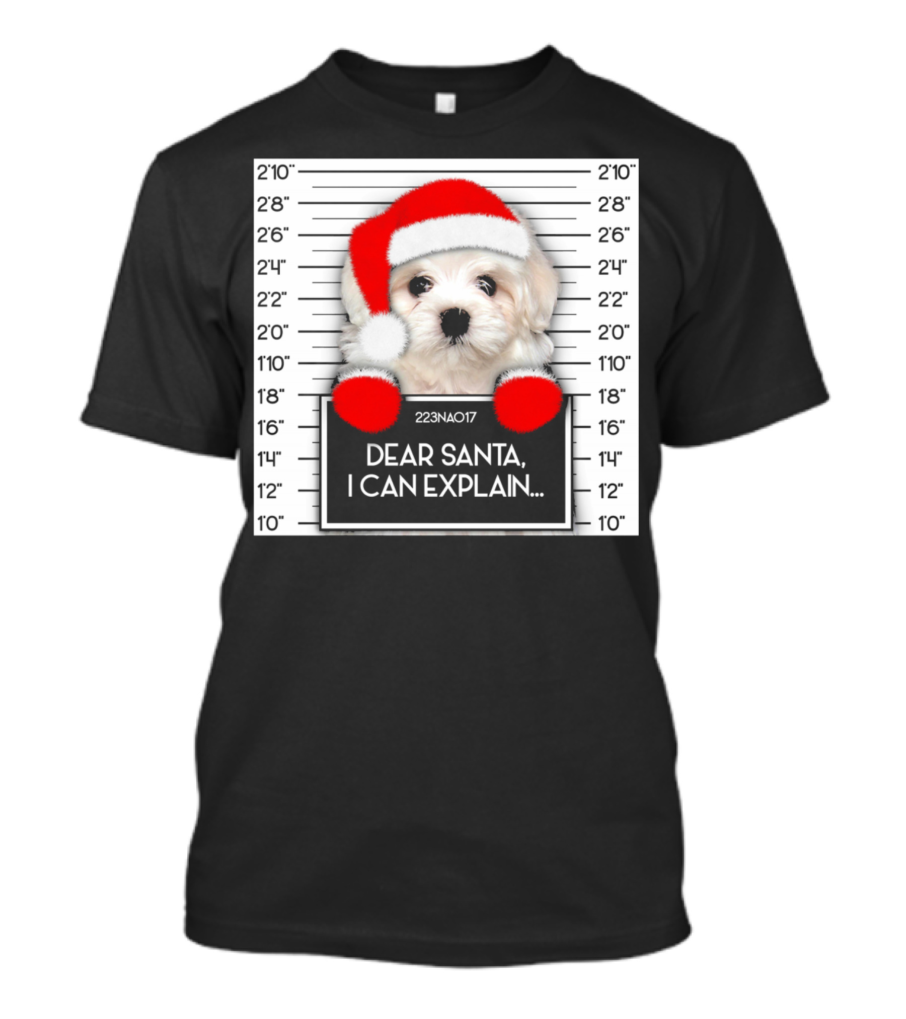 Funny Xmas Maltese Lover Santa Hat Dog Dear Santa I Can Explain T-Shirt