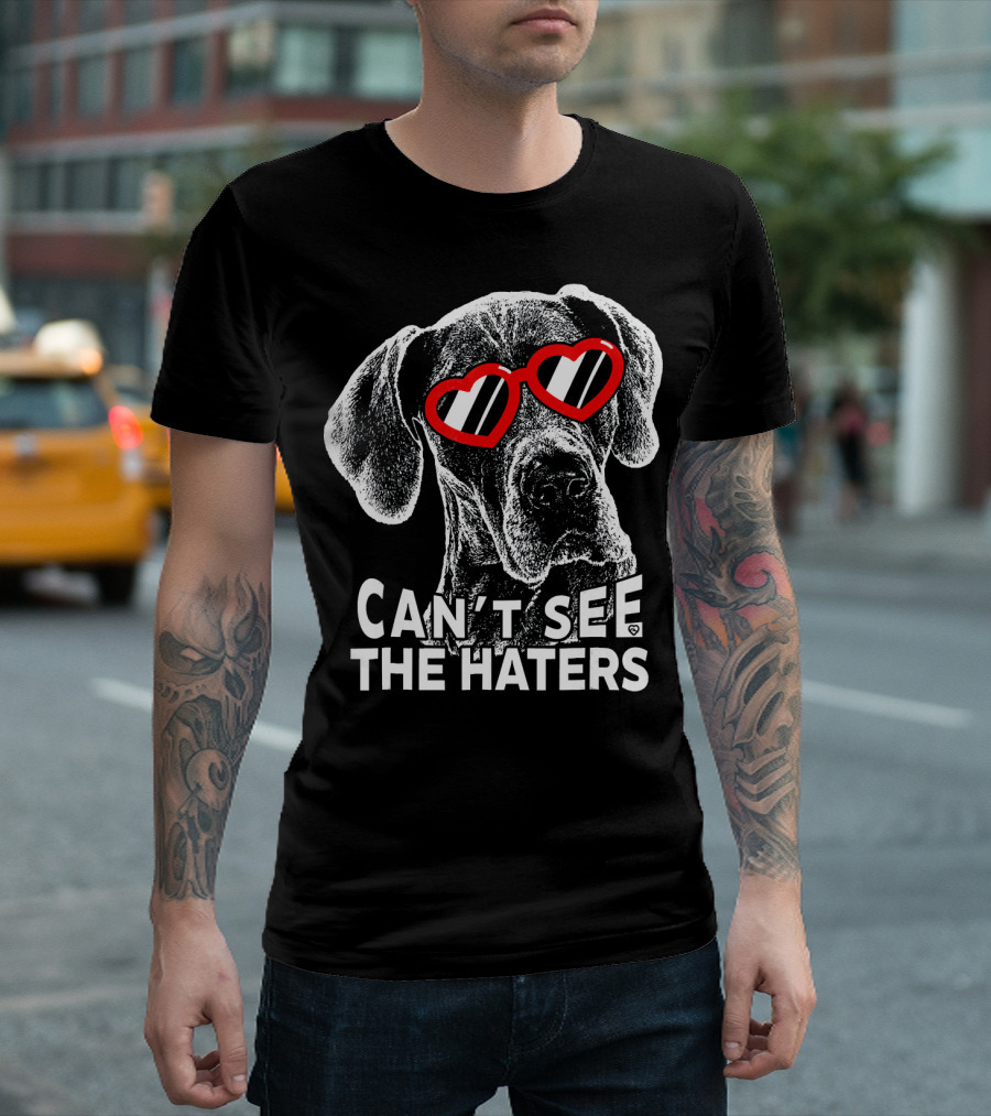 Great Dane Can't See The Haters Heart Glasses Fun T-Shirt