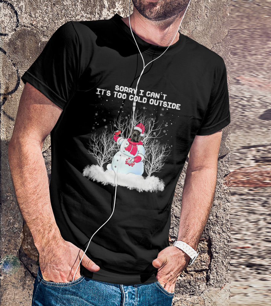 Great Dane Sorry I Can't It's Too Cold Outside Snowman T-Shirt