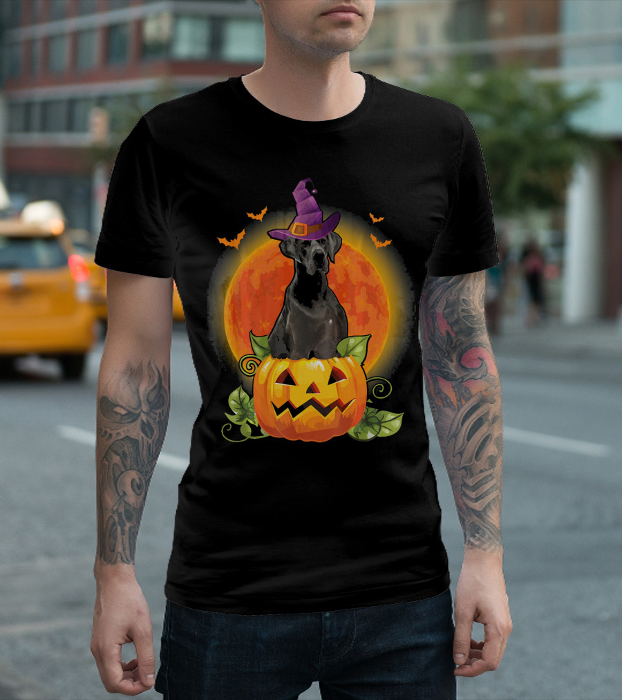 Funny Great Dane Halloween Witch Hat Pumpkin Moon T-Shirt