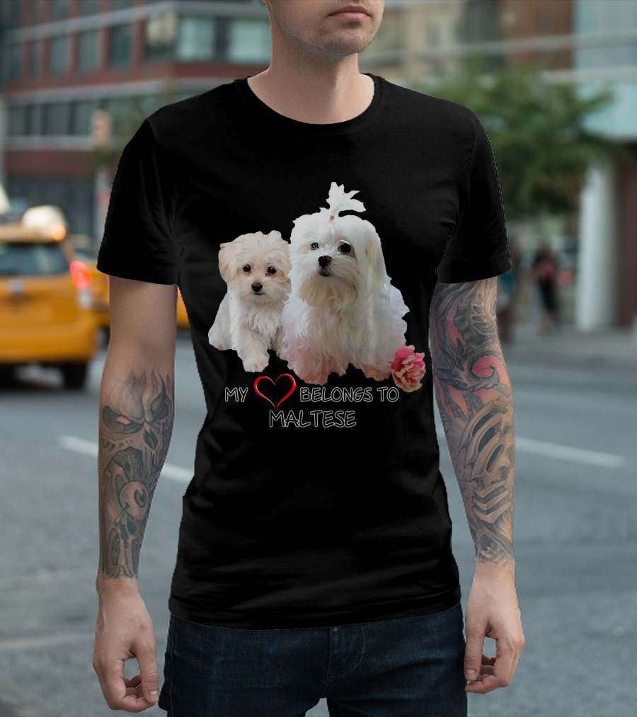My Heart Belongs To Maltese Dog Lovers Fan Love T-Shirt