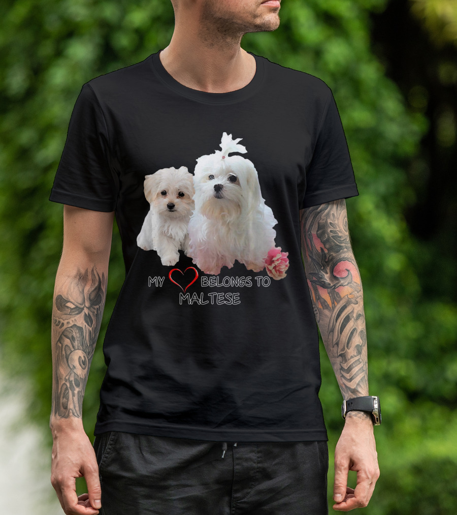 My Heart Belongs To Maltese Dog Lovers Fan Love T-Shirt