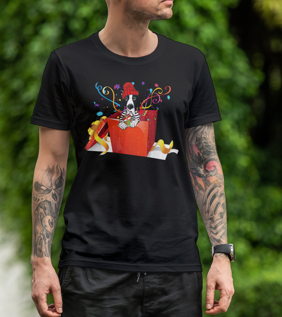 Great Dane Popping Out Of Festive Christmas Box With Colorful Ribbons And Stars T-Shirt