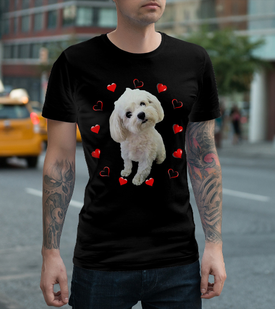 Maltipoo Puppy Surrounded By Hearts For Maltese Dog Lovers T-Shirt