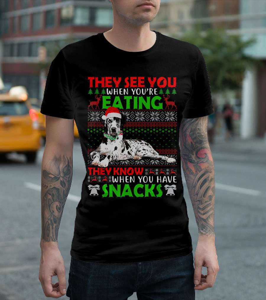 Ugly Christmas Great Dane They See You When You're Eating Snacks T-Shirt