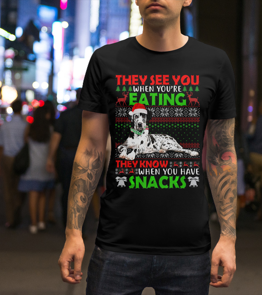 Ugly Christmas Great Dane They See You When You're Eating Snacks T-Shirt