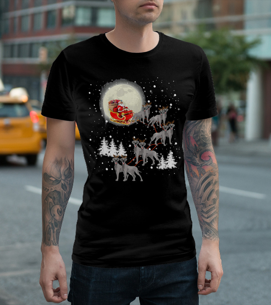 Santa Sleigh With Great Dane Reindeer And Christmas Lights T-Shirt