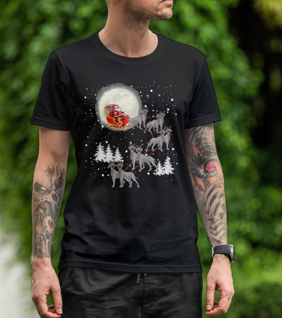 Santa Sleigh With Great Dane Reindeer And Christmas Lights T-Shirt