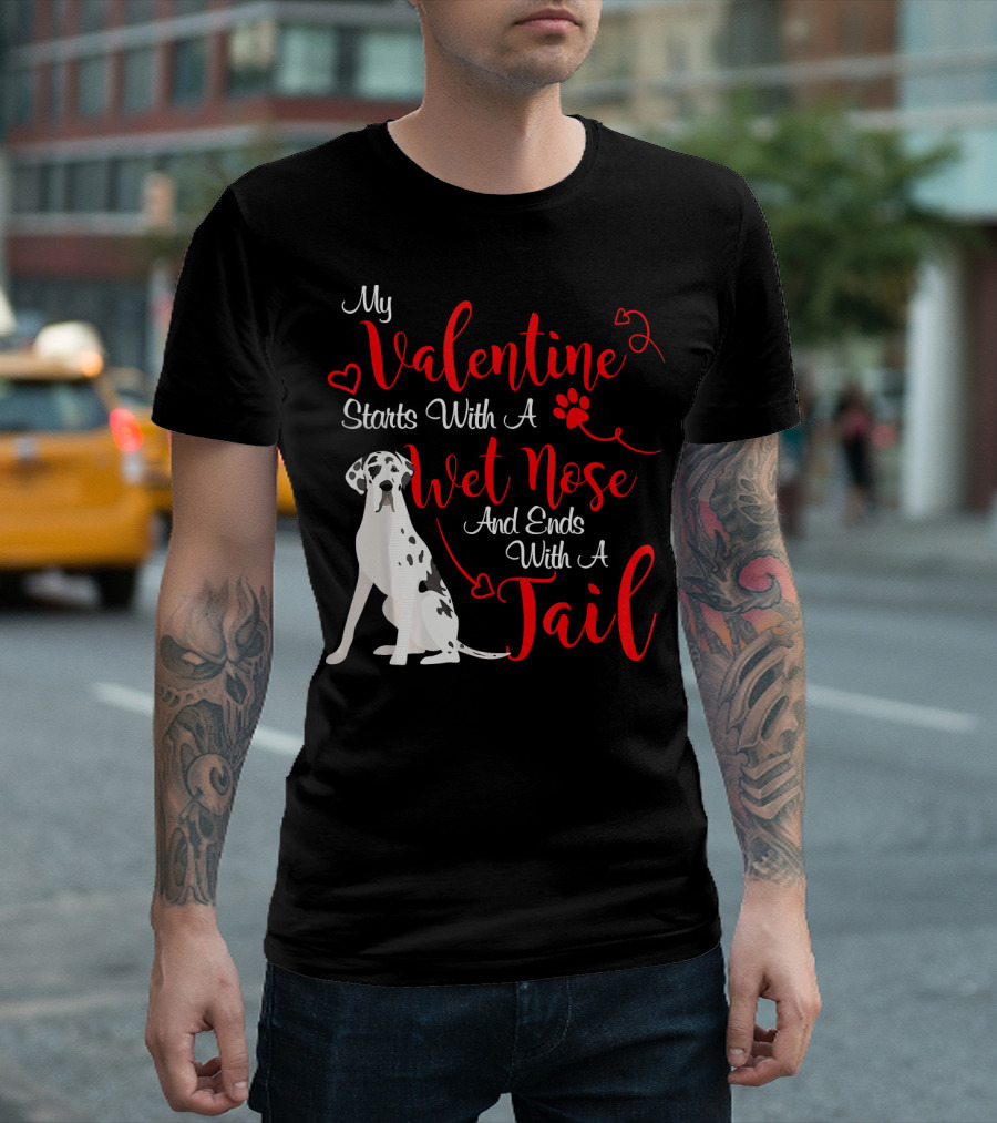 My Valentine Starts With A Wet Nose And Ends With A Tail Great Dane Harlequin T-Shirt