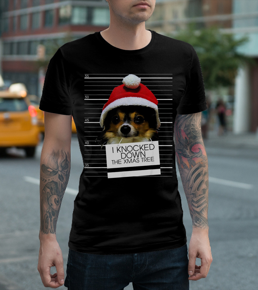 Papillon Dog I Knocked Down The Xmas Tree Santa Hat Lineup T-Shirt