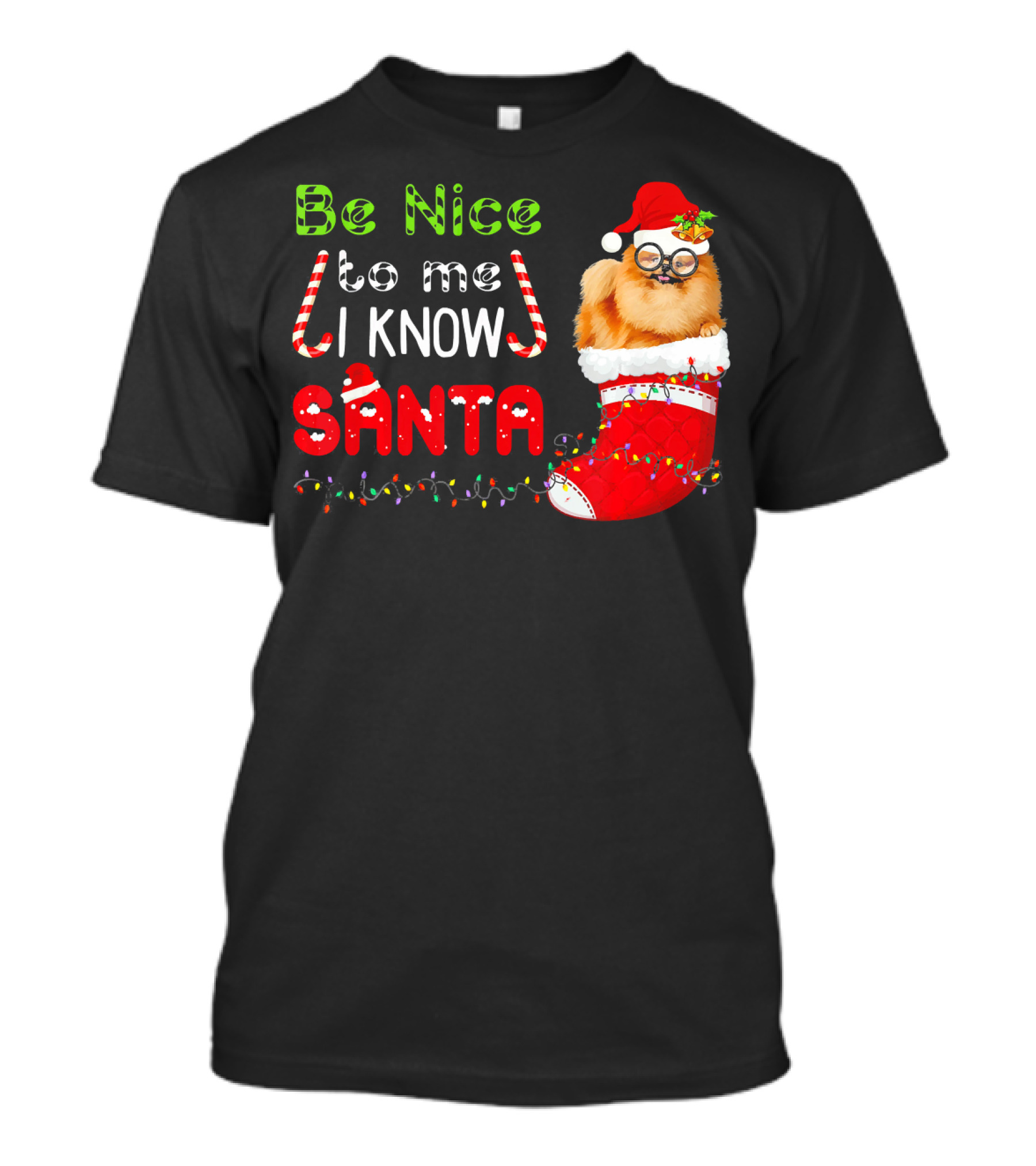 Be Nice To Me I Know Santa Pomeranian In Christmas Stocking With Holiday Lights And Candy Canes T-Shirt