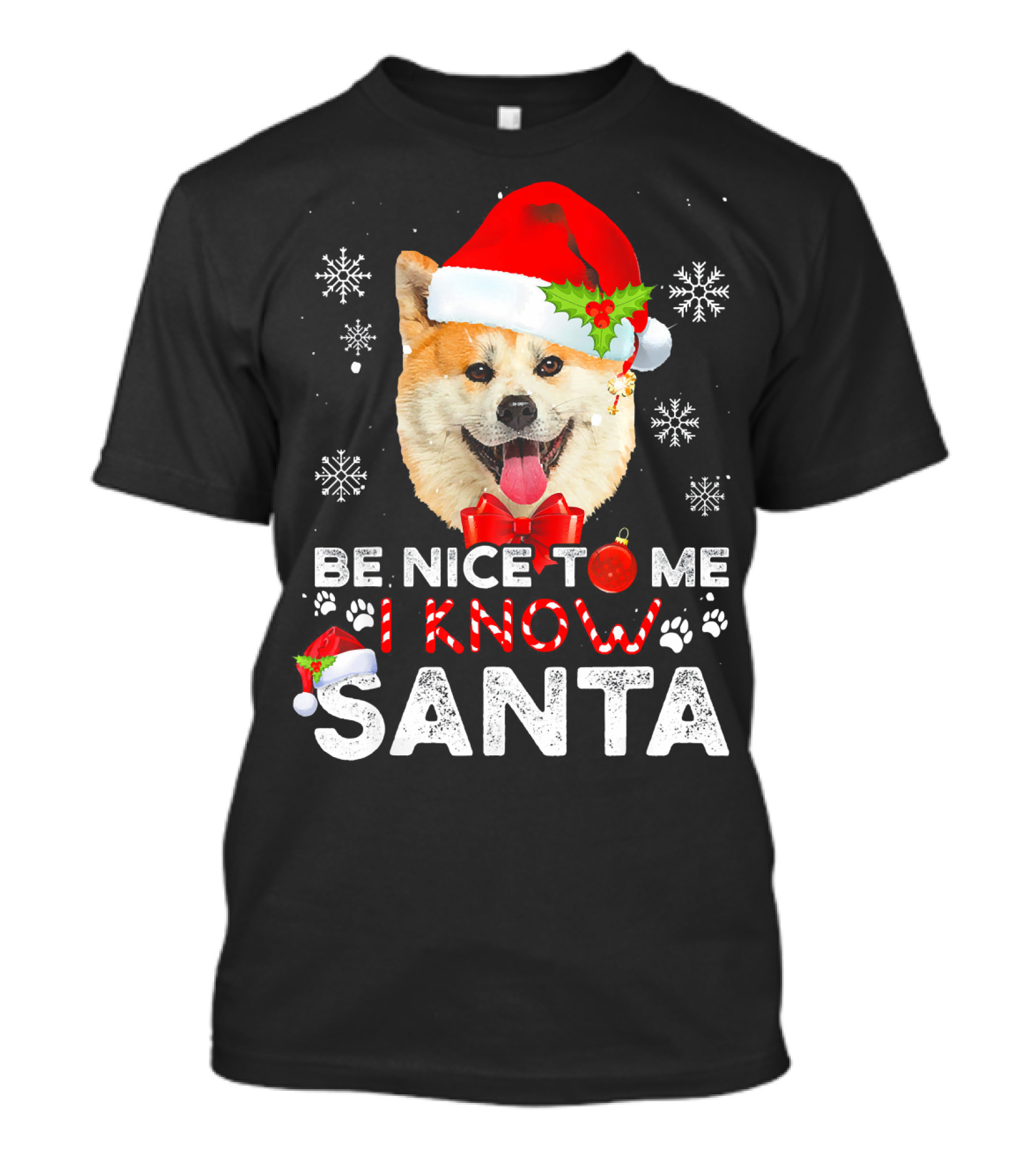 Be Nice To Me I Know Santa Akita Snowflakes Christmas Hat T-Shirt