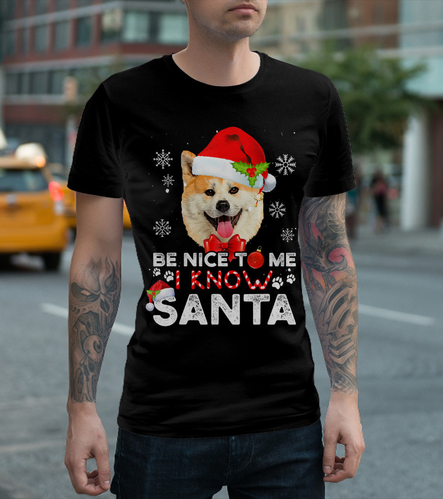 Be Nice To Me I Know Santa Akita Snowflakes Christmas Hat T-Shirt