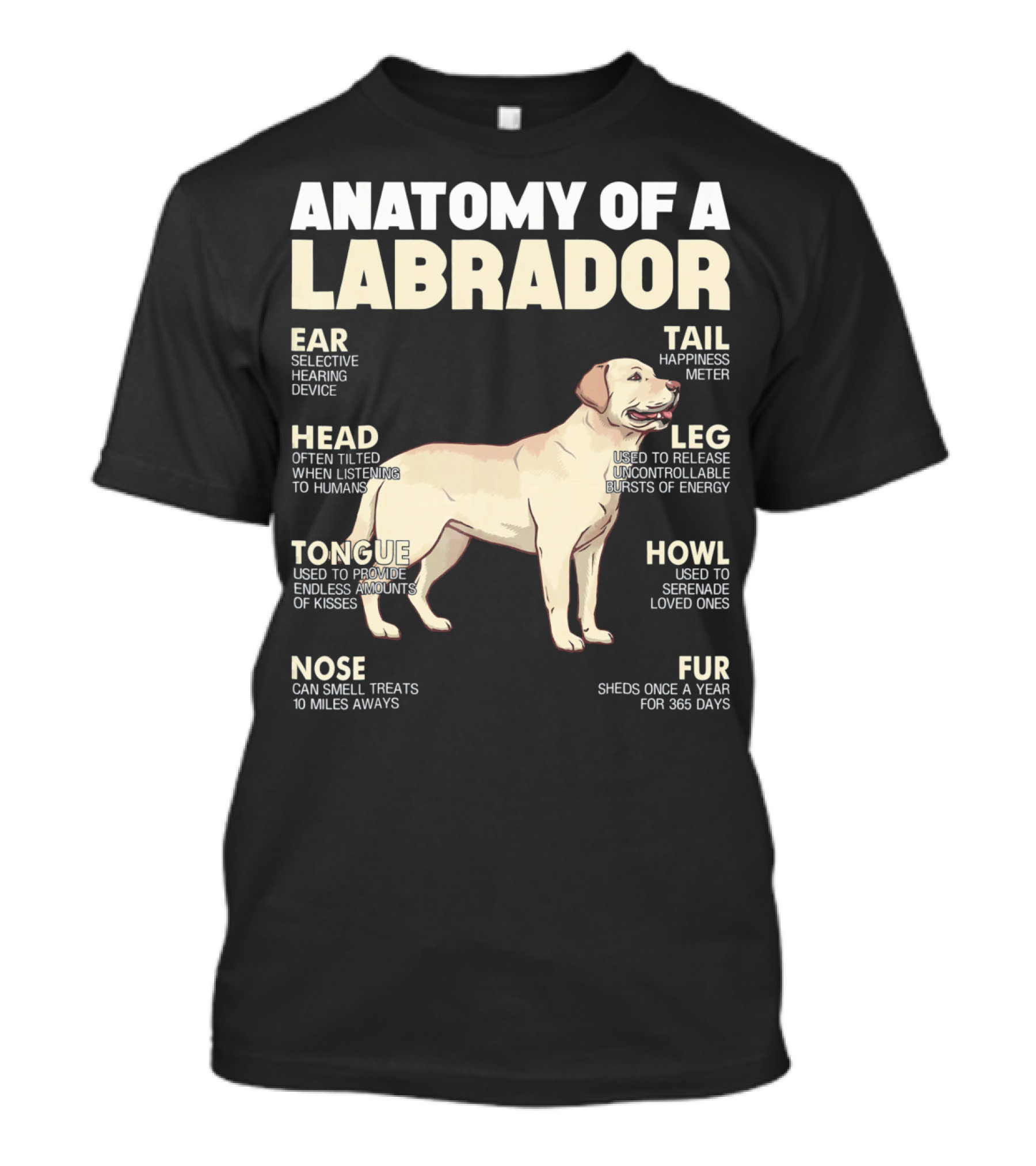 Anatomy Of A Labrador Ear Selective Hearing Device Head Often Tilted Tongue Kisses Nose Smell Treats Tail Happiness Meter Leg Release Energy Howl Serenade Fur Sheds T-Shirt