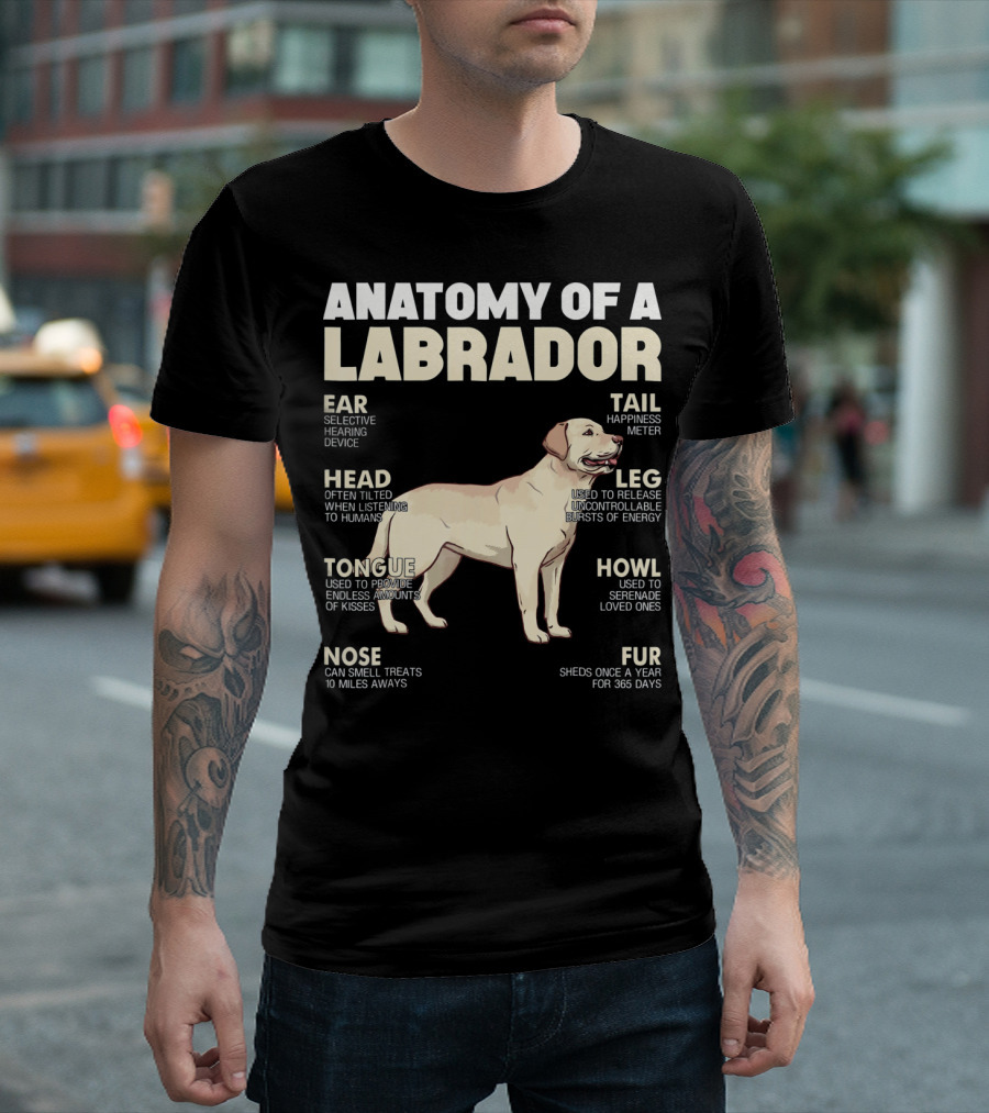 Anatomy Of A Labrador Ear Selective Hearing Device Head Often Tilted Tongue Kisses Nose Smell Treats Tail Happiness Meter Leg Release Energy Howl Serenade Fur Sheds T-Shirt