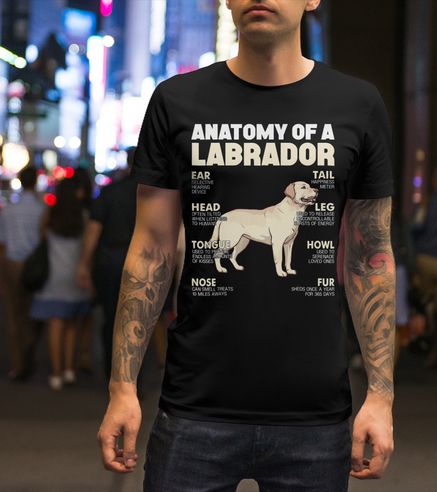 Anatomy Of A Labrador Ear Selective Hearing Device Head Often Tilted Tongue Kisses Nose Smell Treats Tail Happiness Meter Leg Release Energy Howl Serenade Fur Sheds T-Shirt