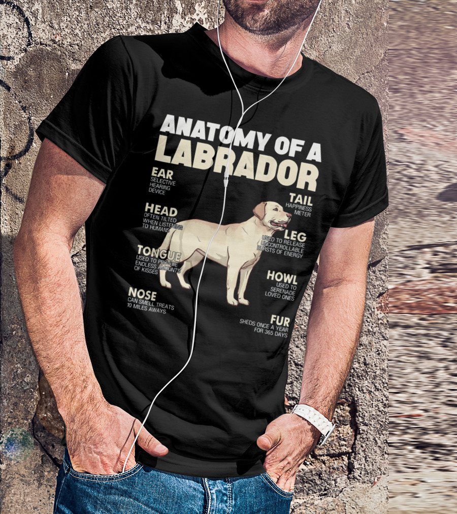 Anatomy Of A Labrador Ear Selective Hearing Device Head Often Tilted Tongue Kisses Nose Smell Treats Tail Happiness Meter Leg Release Energy Howl Serenade Fur Sheds T-Shirt