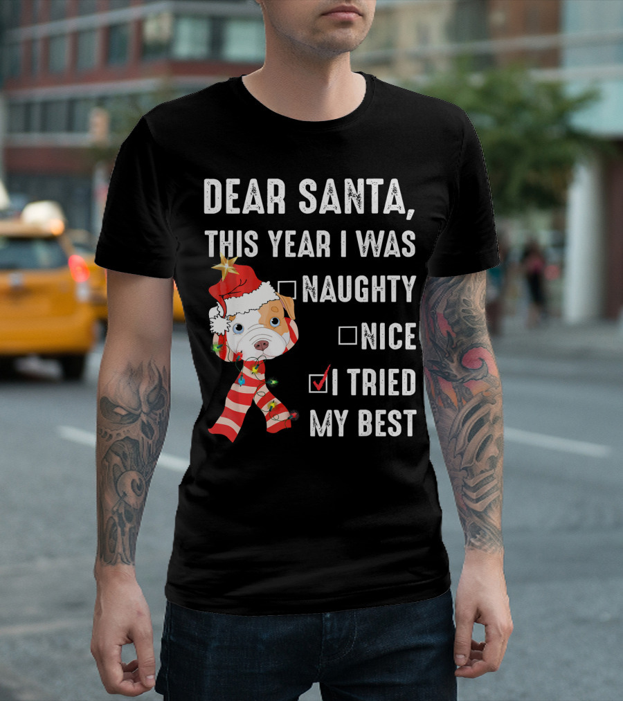 Dear Santa This Year I Was Naughty Nice I Tried My Best Dog Christmas Hat Lights T-Shirt