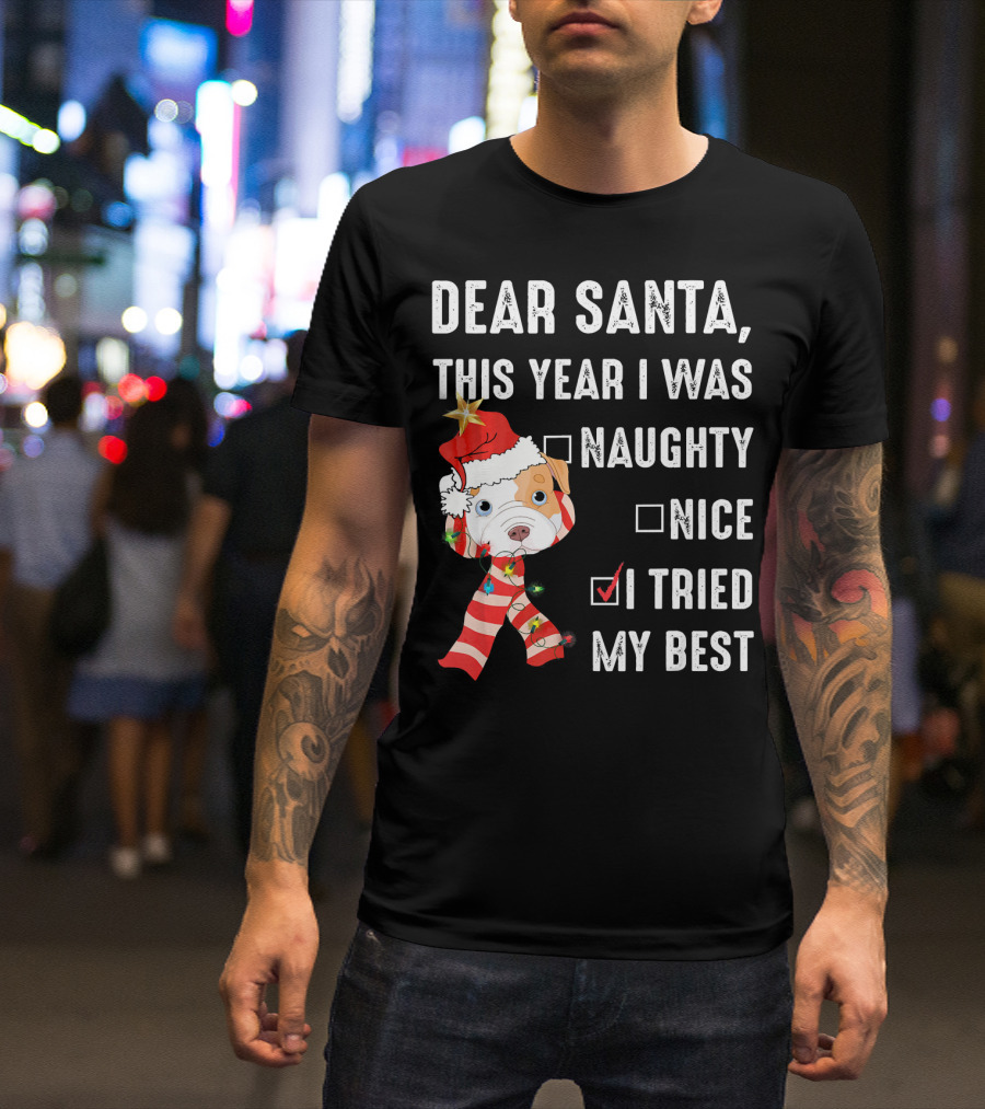 Dear Santa This Year I Was Naughty Nice I Tried My Best Dog Christmas Hat Lights T-Shirt